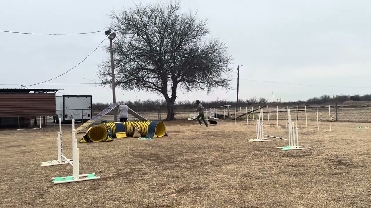 Poncho-LSW2603(10) 0:34.03s 0 fault
