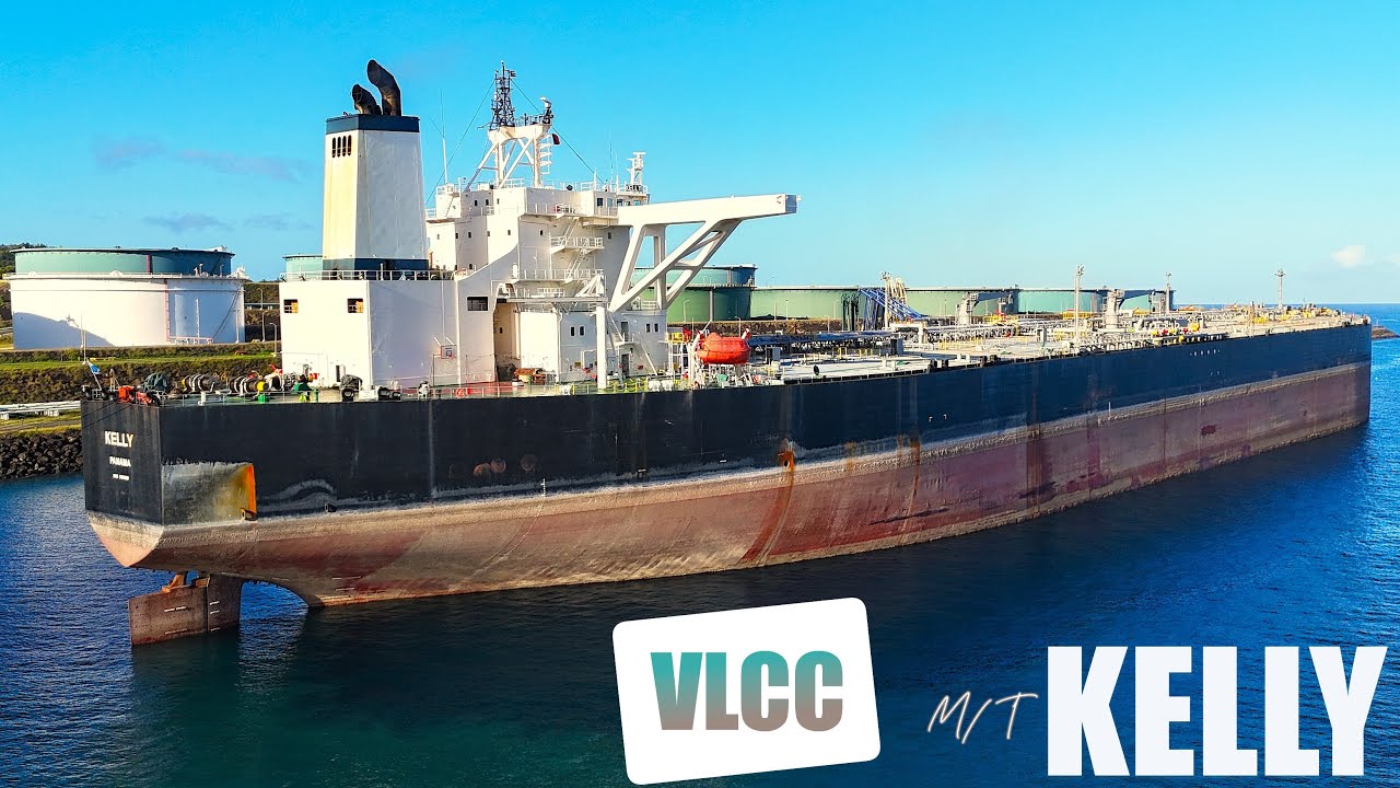KELLY || Shipspotting Castries St. Lucia || 18.01.2026