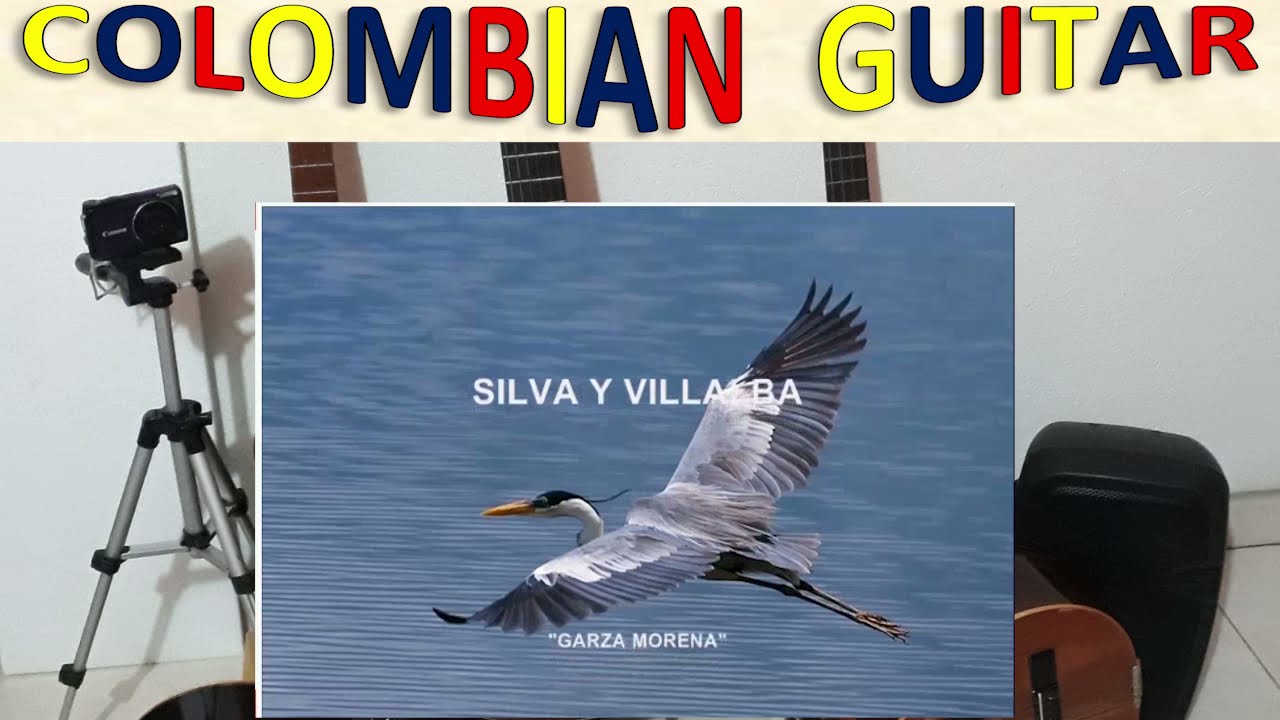 Garza morena tutorial Silva y Villalba