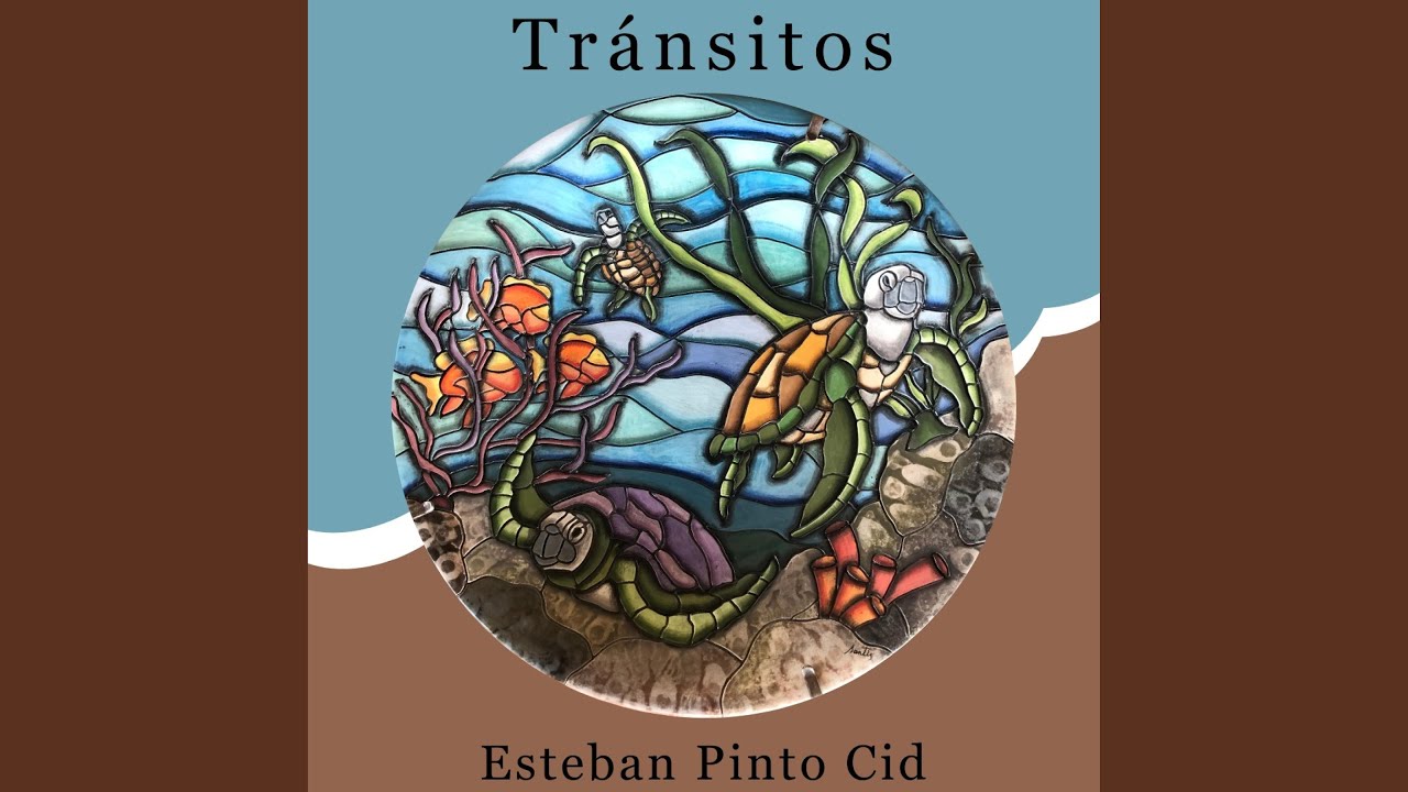 Tr&aacute;nsitos