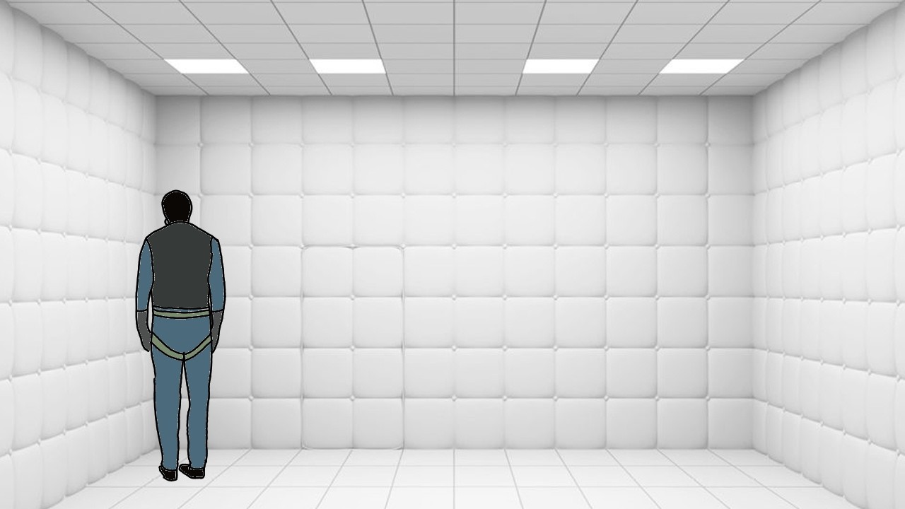 Schizophrenia Simulator