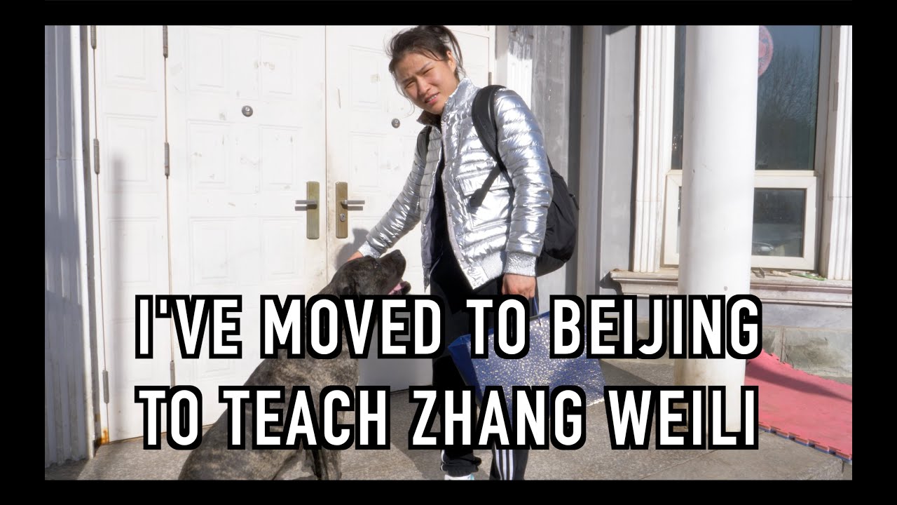 I'VE MOVED TO BEIJING TO TEACH ZHANG WEILI