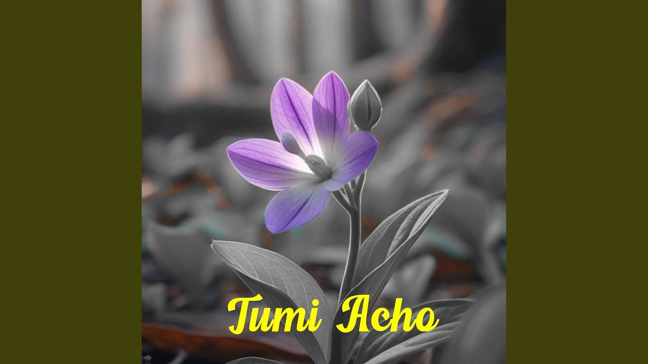 Tumi Acho