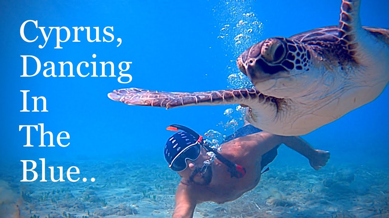 #4K | Diving with Aplysia Fascita , Turtles & ABC Dive Club | Cyprus| Paphos| Sept2021|Part 04