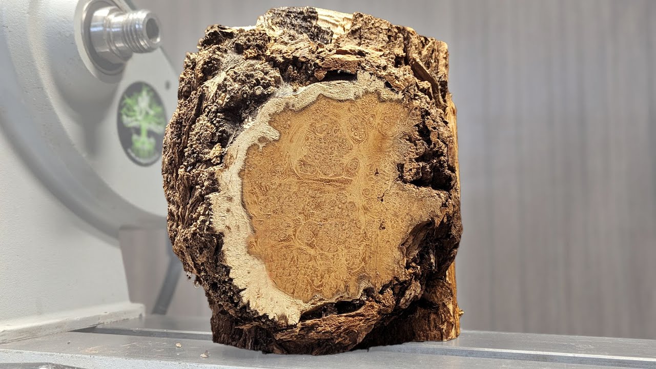 NOTHING SPECIAL? Just look what I found hiding inside with False Acacia Burl