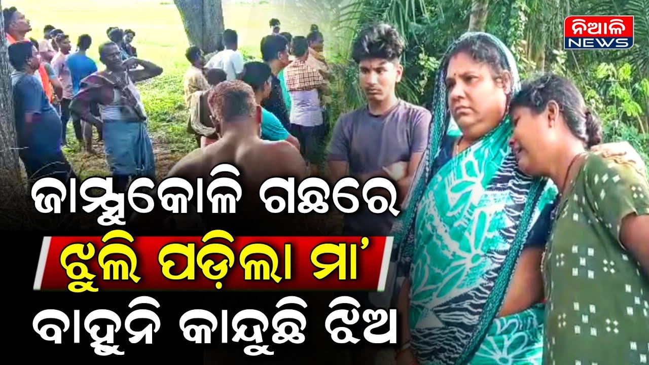 ଖାଉଥିଲେ ହଠାତ୍ କୁଆଡେ ଚାଲିଗଲେ, ଜାମ୍ମୁକୋଳି ଗଛରୁ ଉଦ୍ଧାର ହେଲେ ମା,ବାହୁନି କାନ୍ଦୁଛି ଝିଅ | Niali News