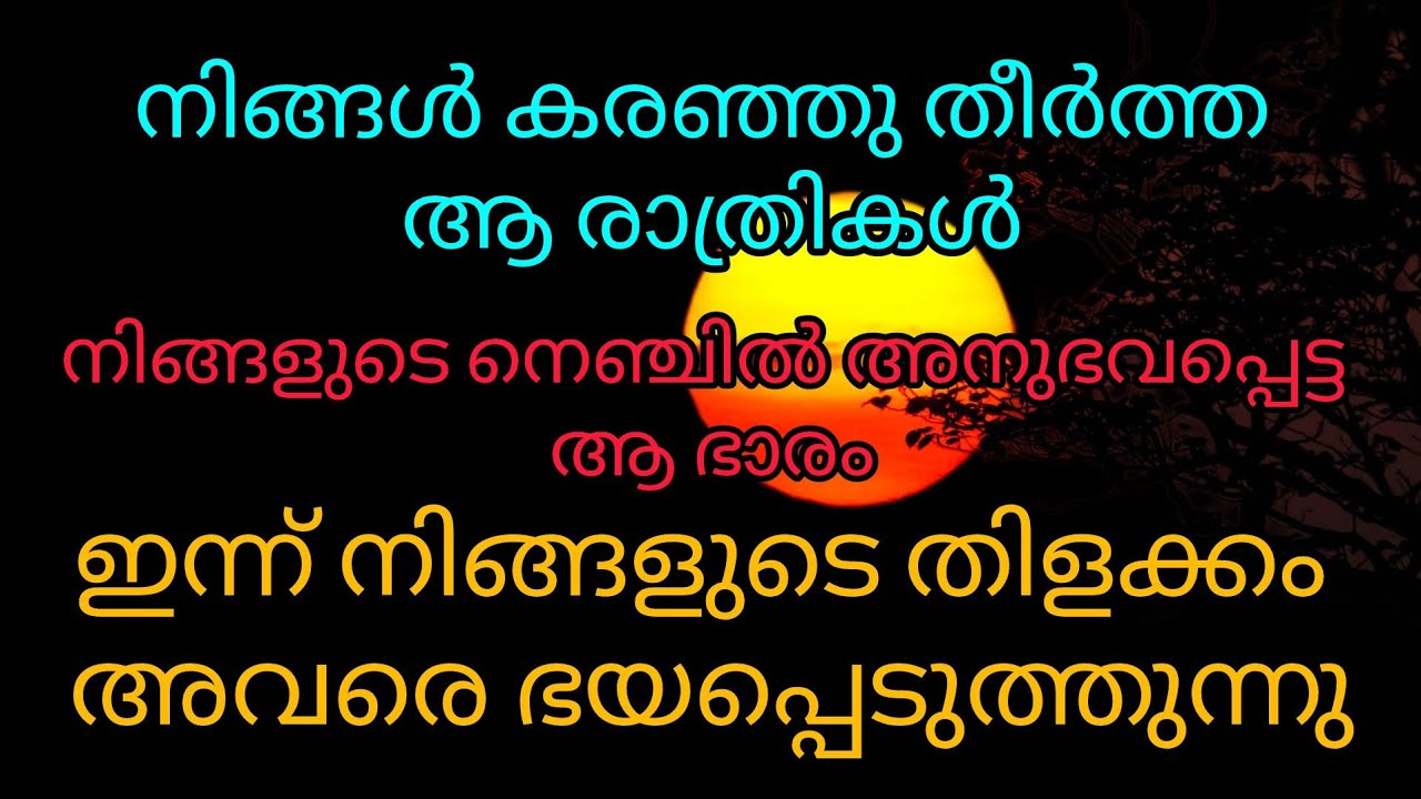 നിങ്ങൾ കരഞ്ഞു തീർത്തആ രാത്രികൾ,ഇന്ന് നിങ്ങളുടെ തിളക്കം അവരെ ഭയപ്പെടുത്തുന്നു#tarot