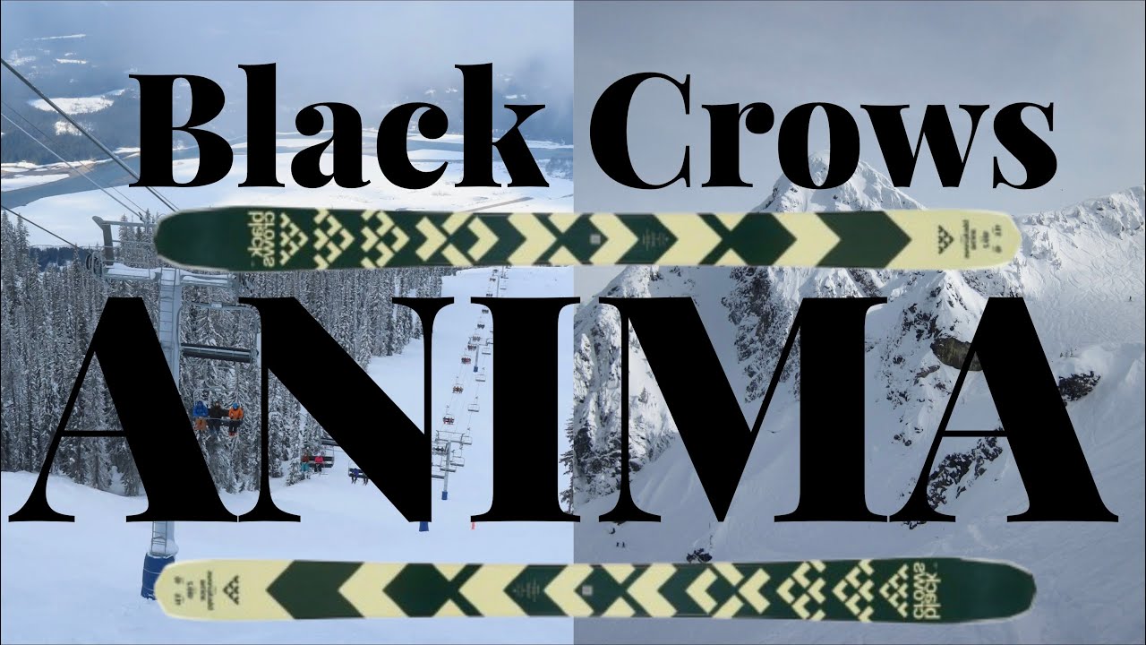 Black Crows Anima Review