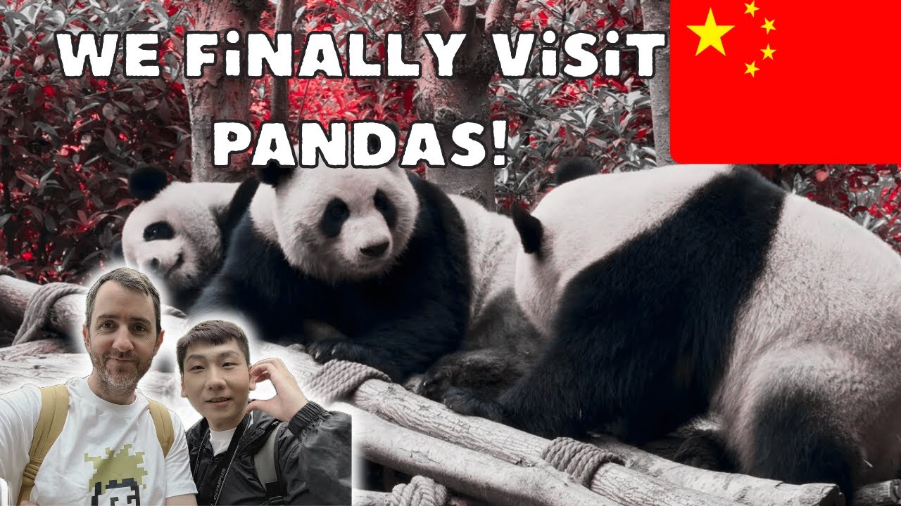 Who doesn't love pandas? | Discovering Panda Valley - 熊猫谷  | Dujiangyan vlog pt. 1 🇨🇳