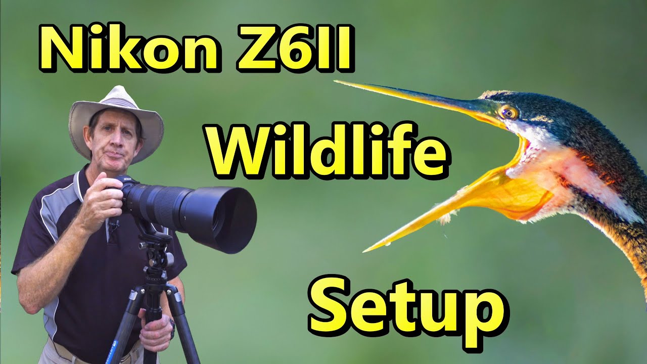 Мой комплект для съемки дикой природы Nikon Z6II