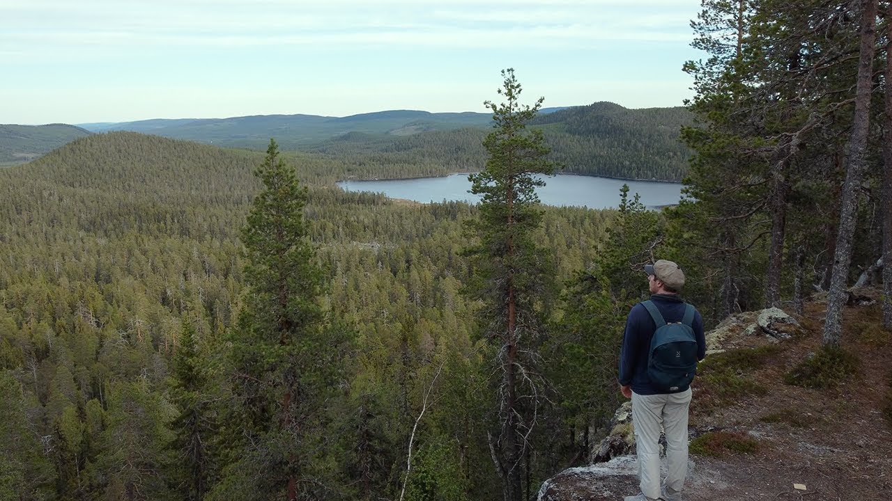 Hiking in Björnlandet National Park, Sweden