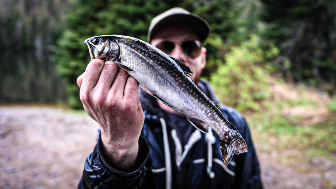 J'ai MÉRITÉ ces truites! | 12 heures de pêche en lac au printemps | Pêche à la truite.