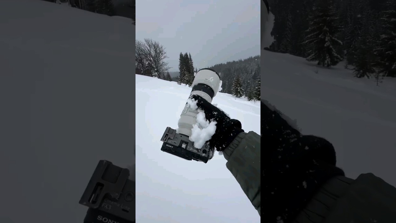 #shorts #shortvideo #short #trending #reels #trendingshorts #status #beautiful #videos #music