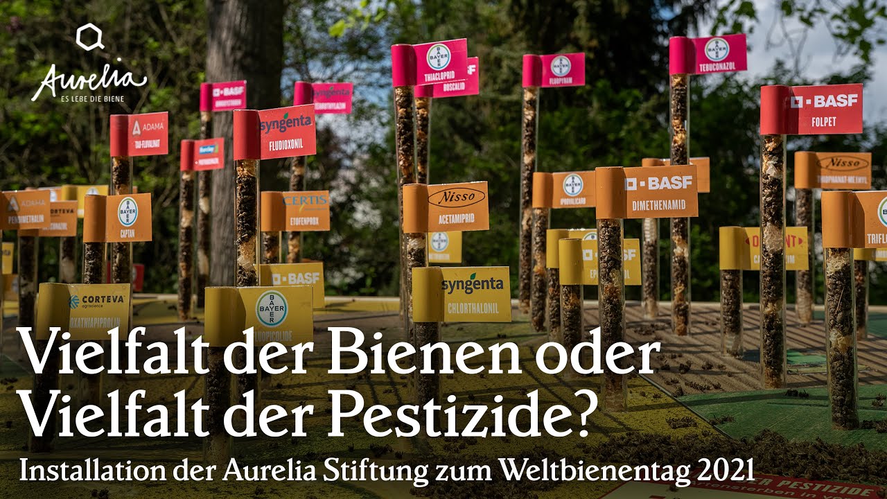Vielfalt der Pestizide oder Vielfalt der Bienen? Installation zum Weltbienentag 2021
