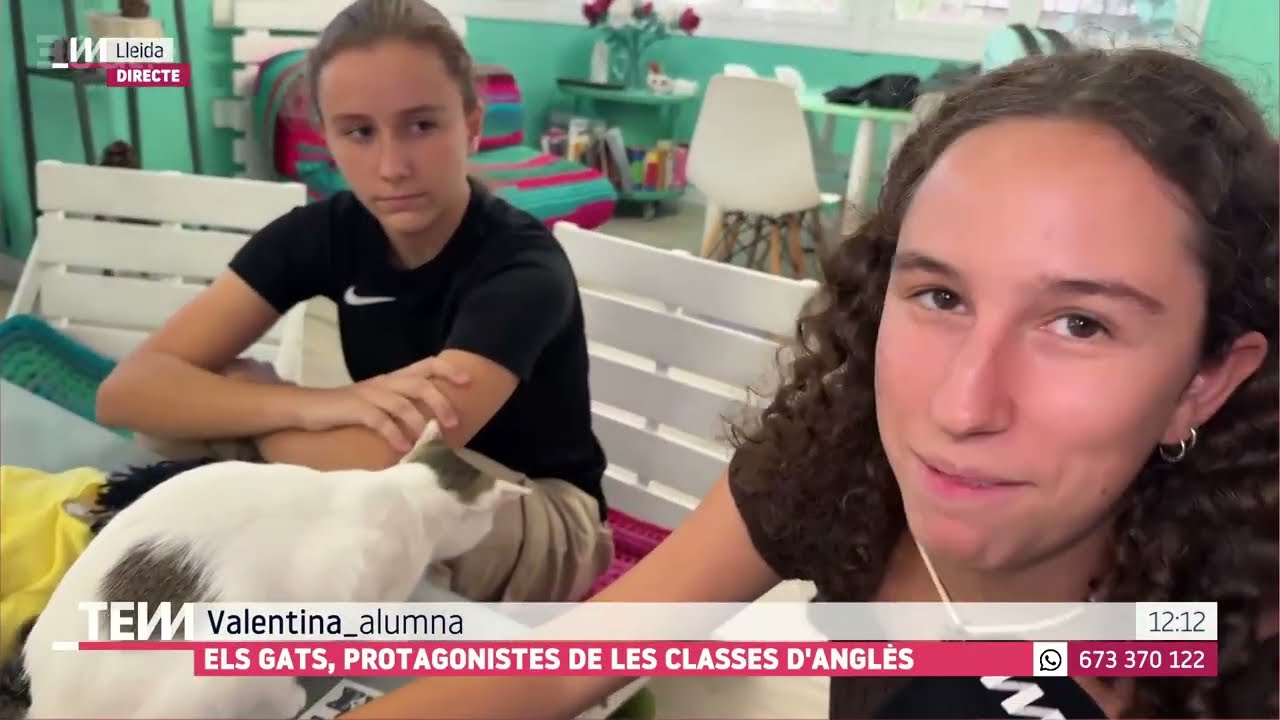 TOT ES MOU: Gats que aprenen anglès