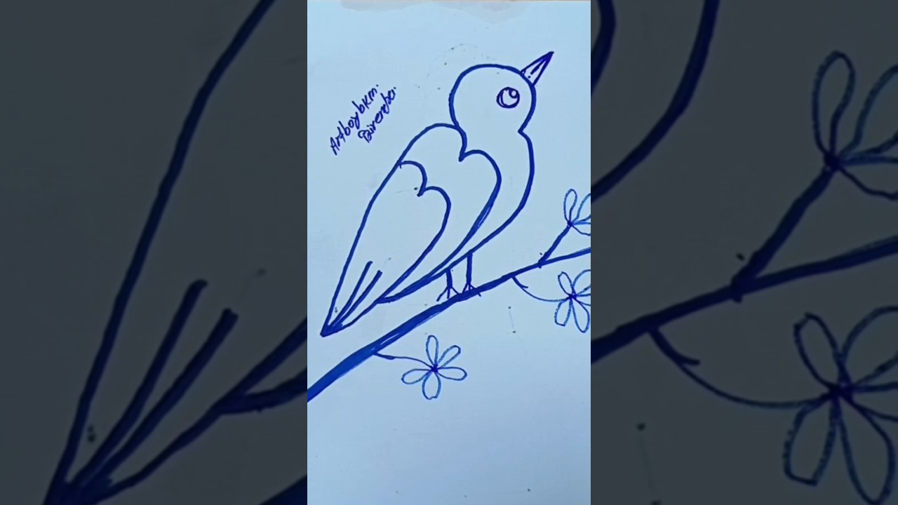 January 16, 2026 How to Draw a Bird Super Easy! 🐤