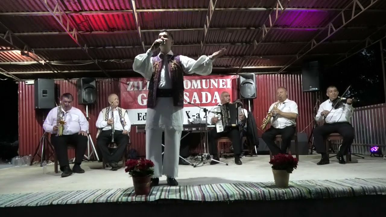 Florin Boita Și Taraful de la Vața Zilele Comunei Gurasada @hdedyfotograffoto-video