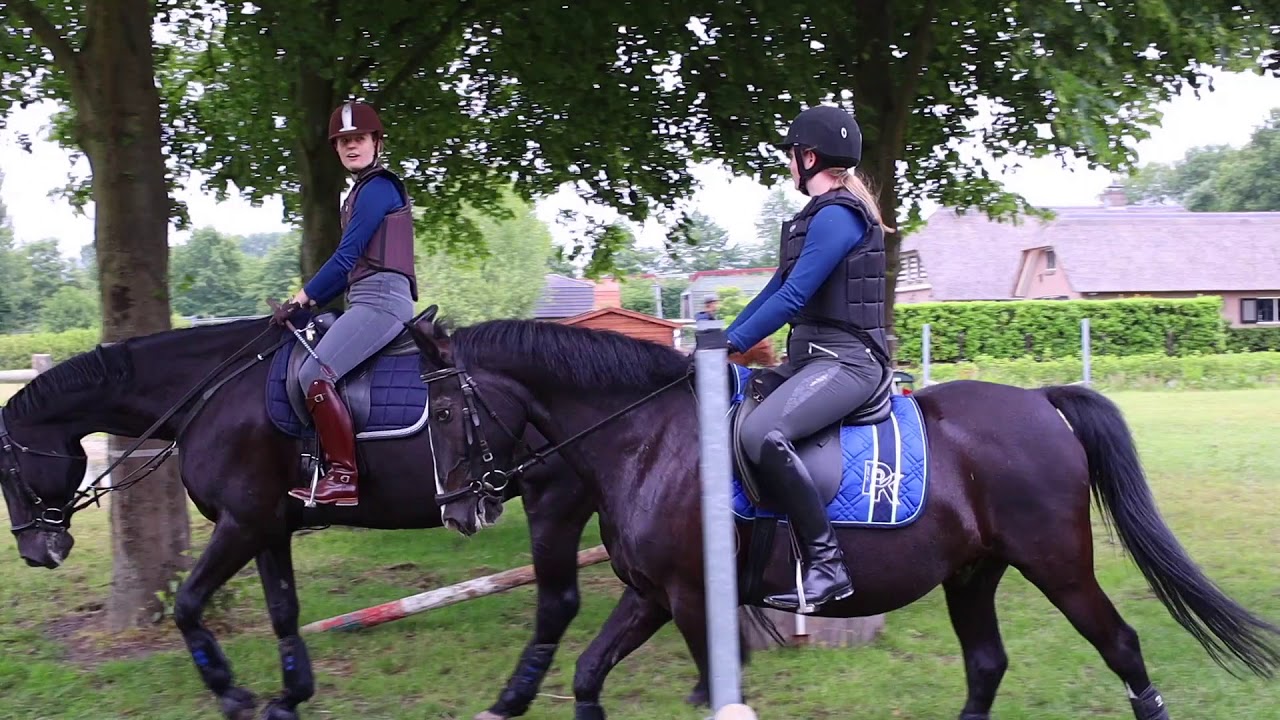 Promofilmpje crossles bij Manege 't Hoogt