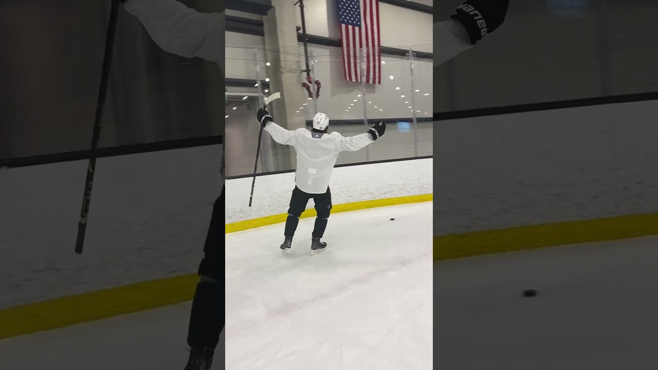 Anaheim Ducks NHL Pro vs. Social Media Manager