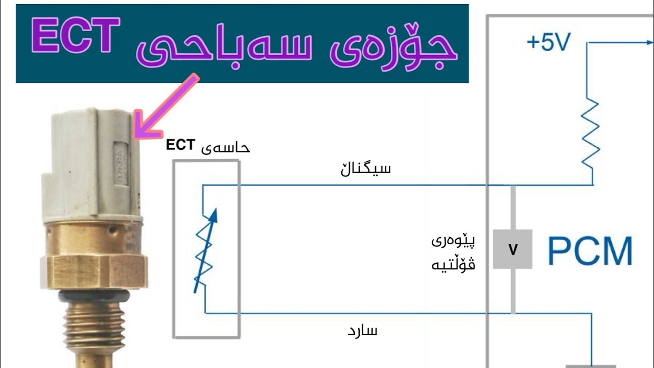 جۆزەی سەباحی ECT
