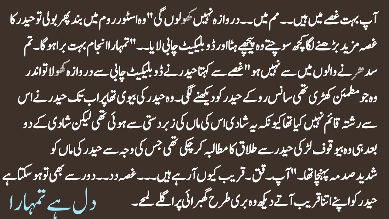 Urdu Novel 