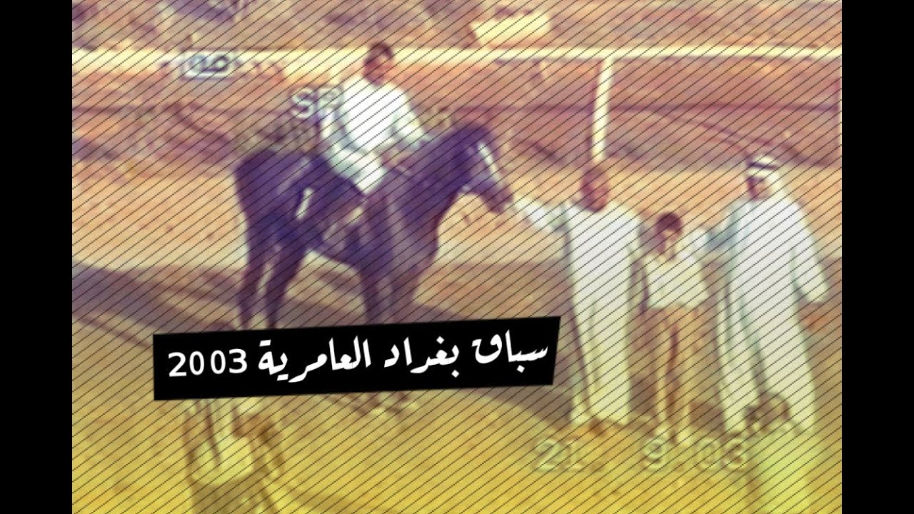 سباق الخيل العامرية | وليد رستم | موسم 2003 - 2004