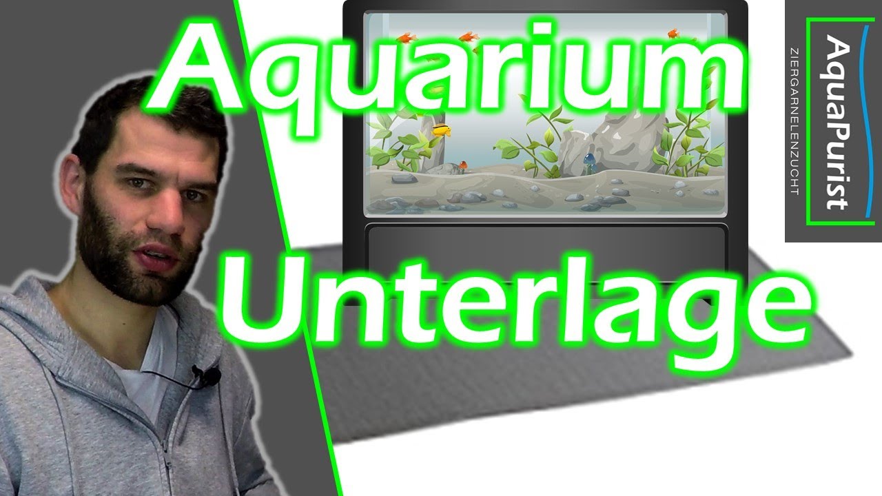 Aquarienunterlage: Was wie wo warum?