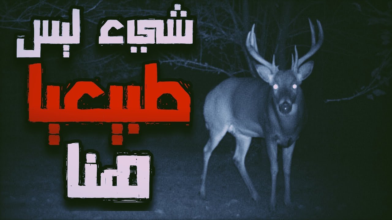 شخص تحدث له أمور مرعبة في محمية  للغزلان!!! | قصص رعب