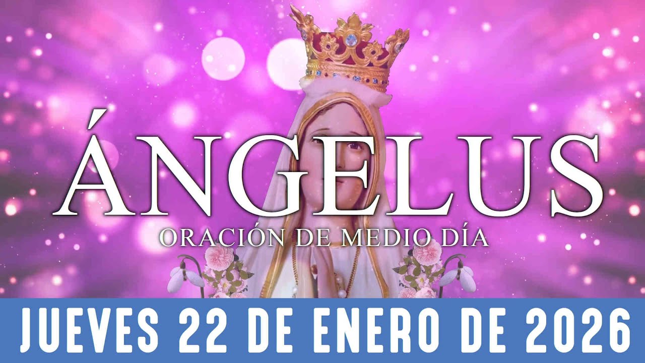 Ángelus de hoy jueves 22 de enero de 2026 Oración de mediodía