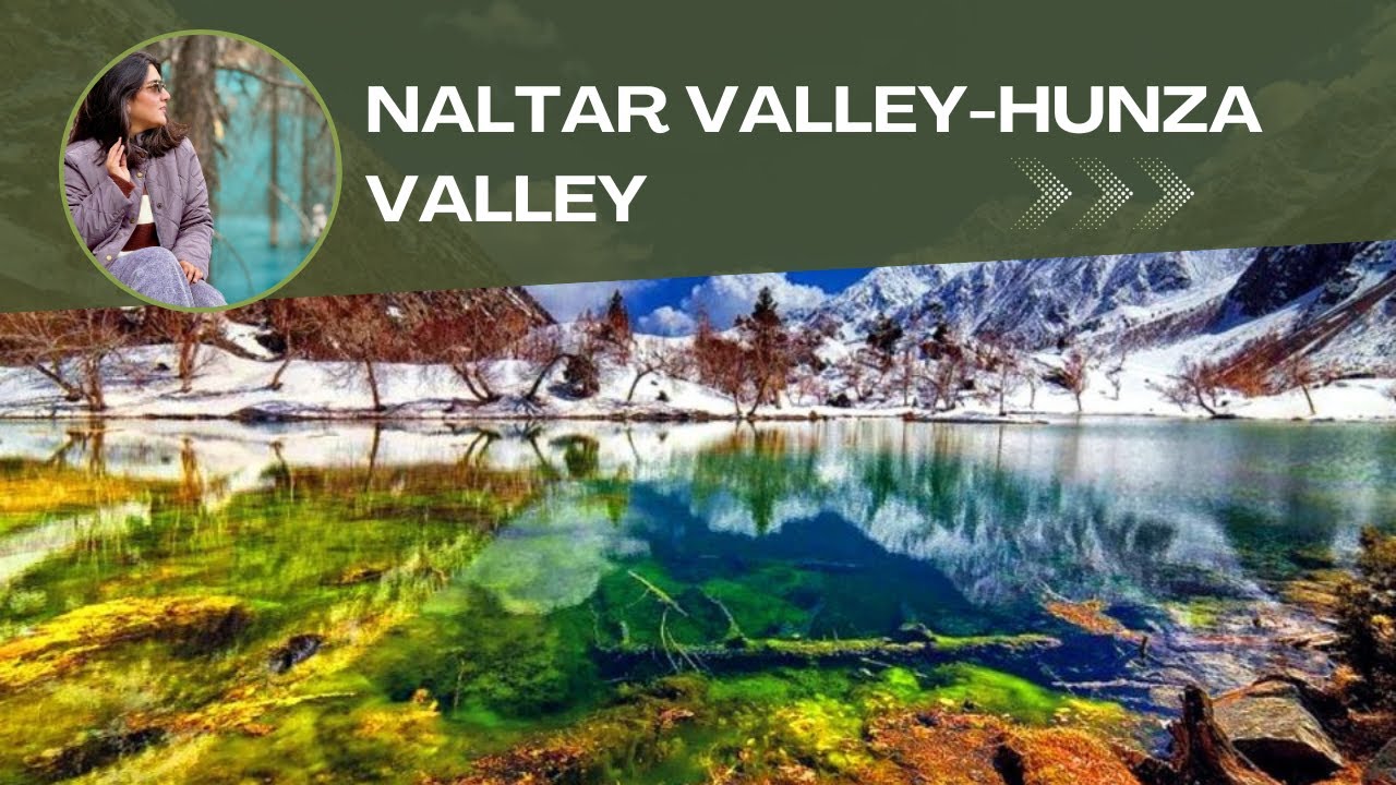 Beauty Of Naltar Valley! 🏔️