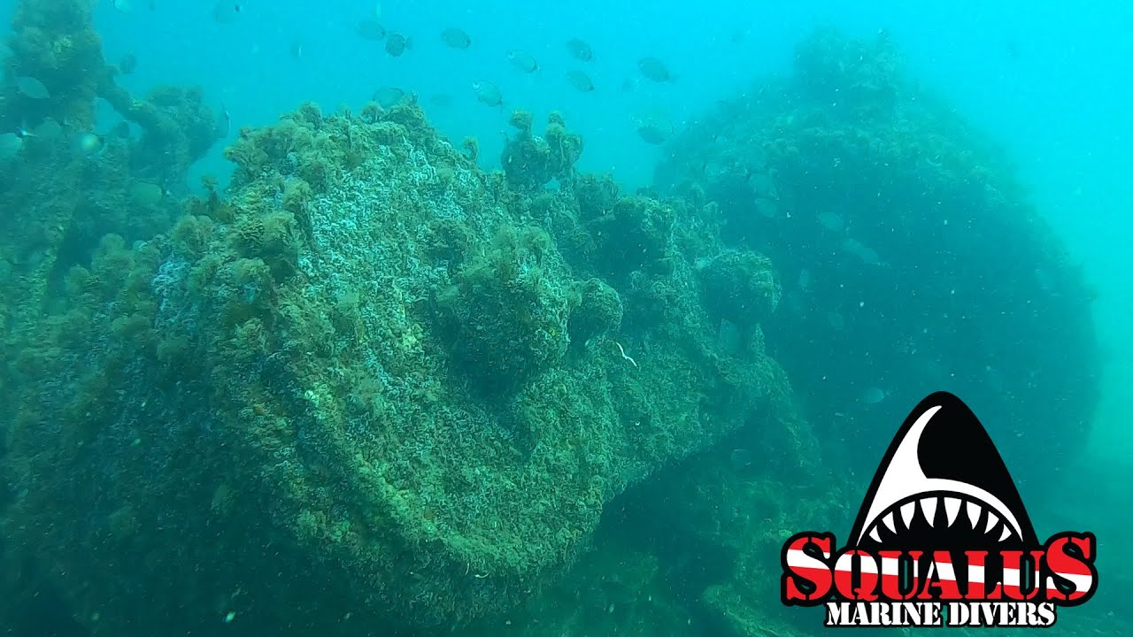 THE WRECK OF THE BRUZE' REEB - SQUALUS MARINE