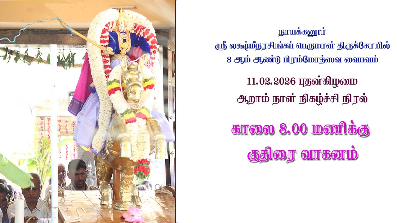 21 11.02.2026 குதிரை வாகனம்