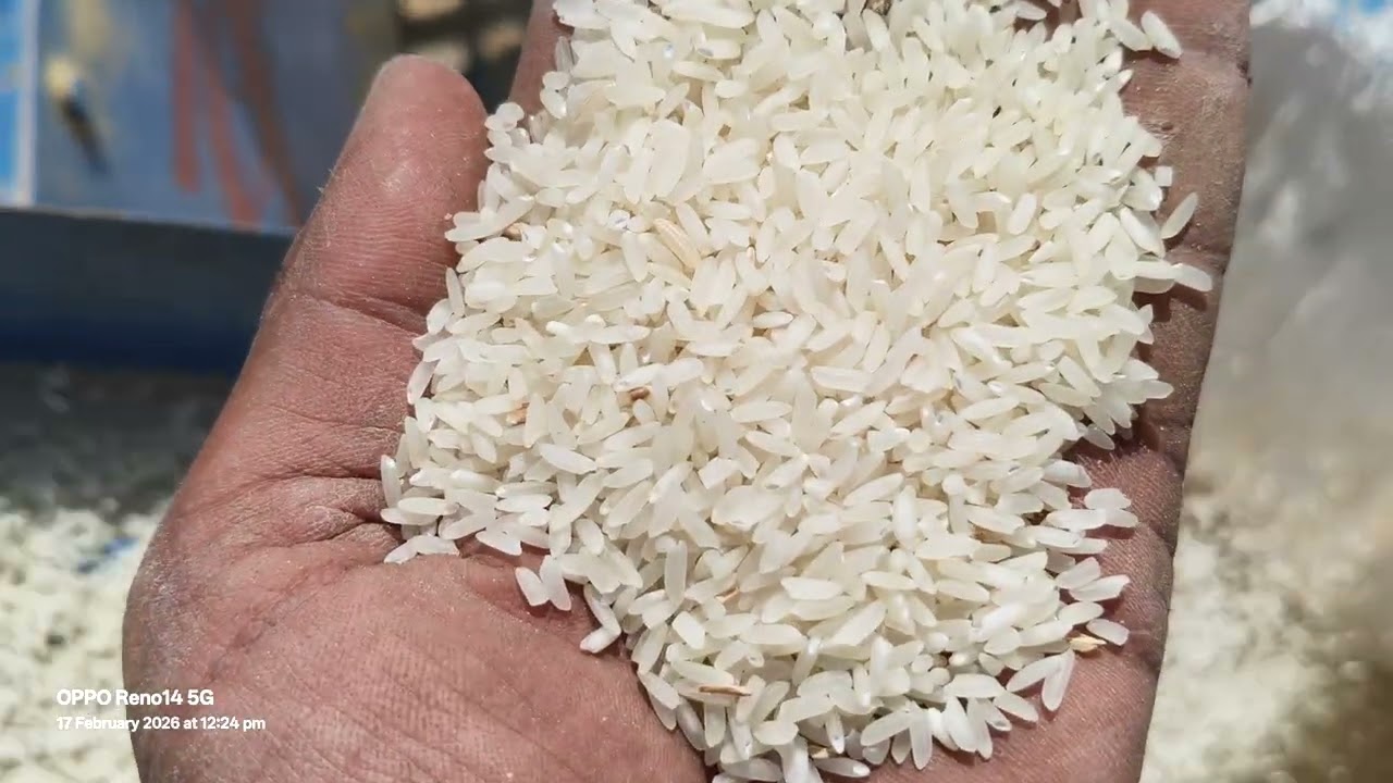Automatic Rice Mill