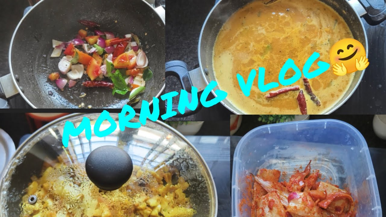MORNING VLOG🤗🥰 EASY BREAK  FAST AND LUNCH RECEPIES🥗@Sreenandanamvlogs2025 