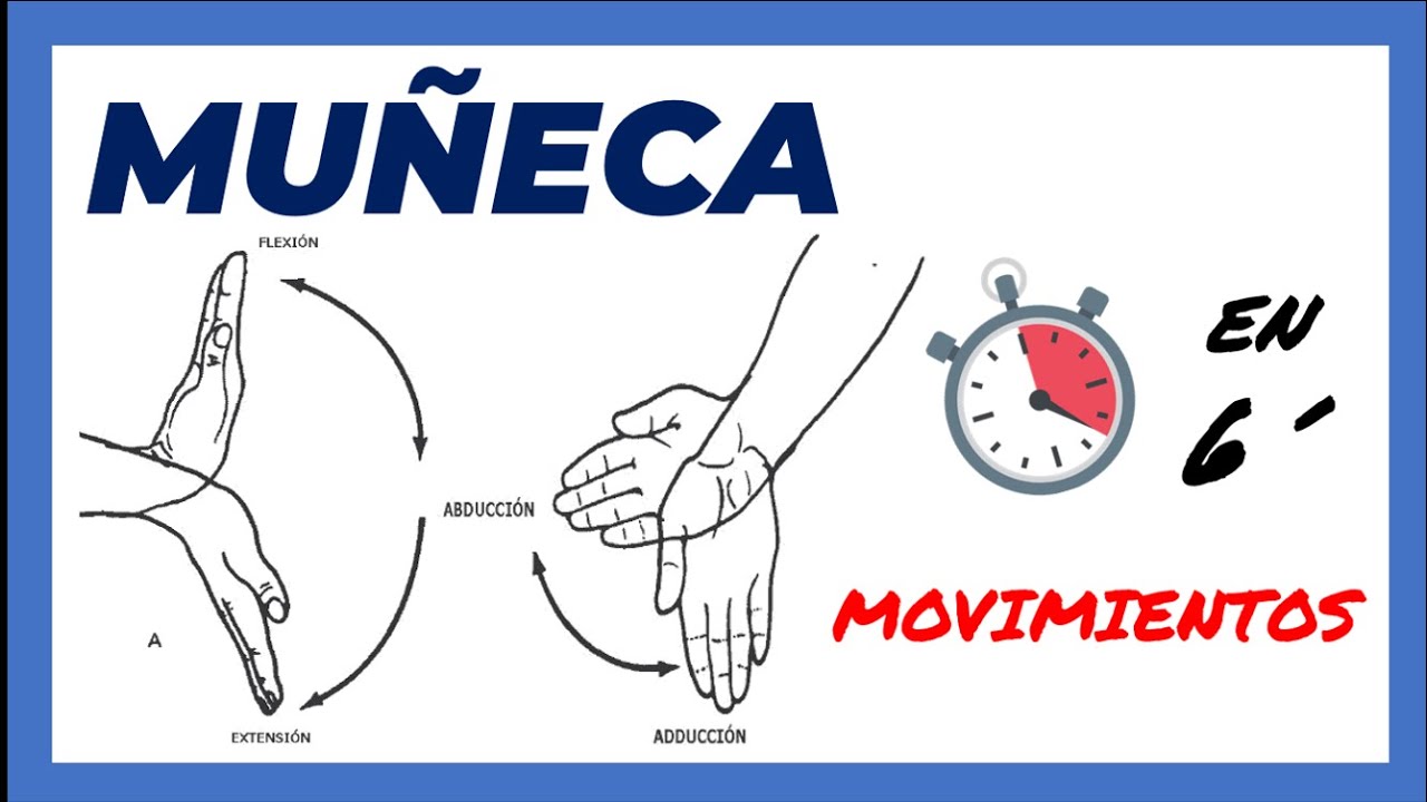 🥇 MOVIMIENTOS articulares DE LA MUÑECA (suuuper FÁCIL) | Biomecánica | Anatomía Radiocarpiana