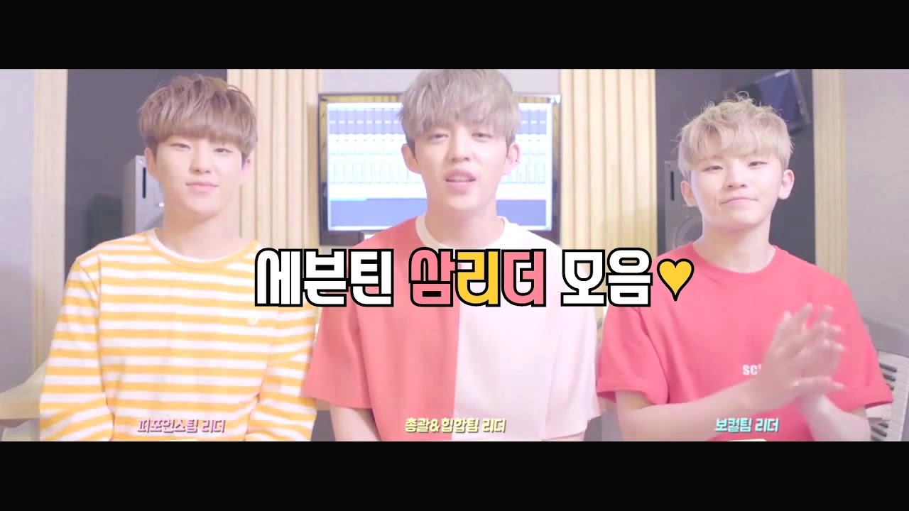 [세븐틴/쿱스/우지/호시] 삼리더즈 모음♥