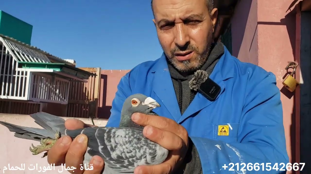 ثلات دكور من فرنسا وشكرا على مروركم الكريم وتعليقاتكم المفيدة