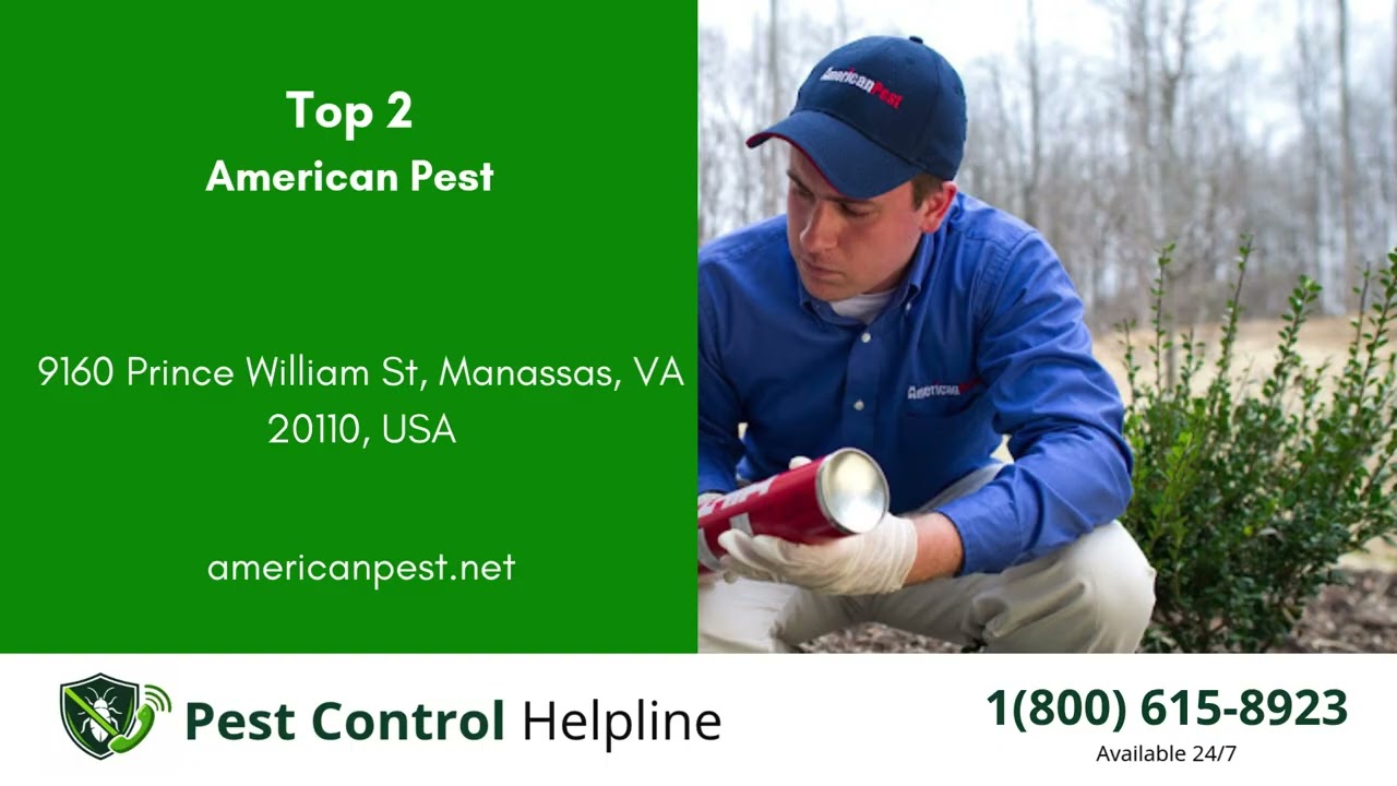 Top 3 Pest Control in Buckhall