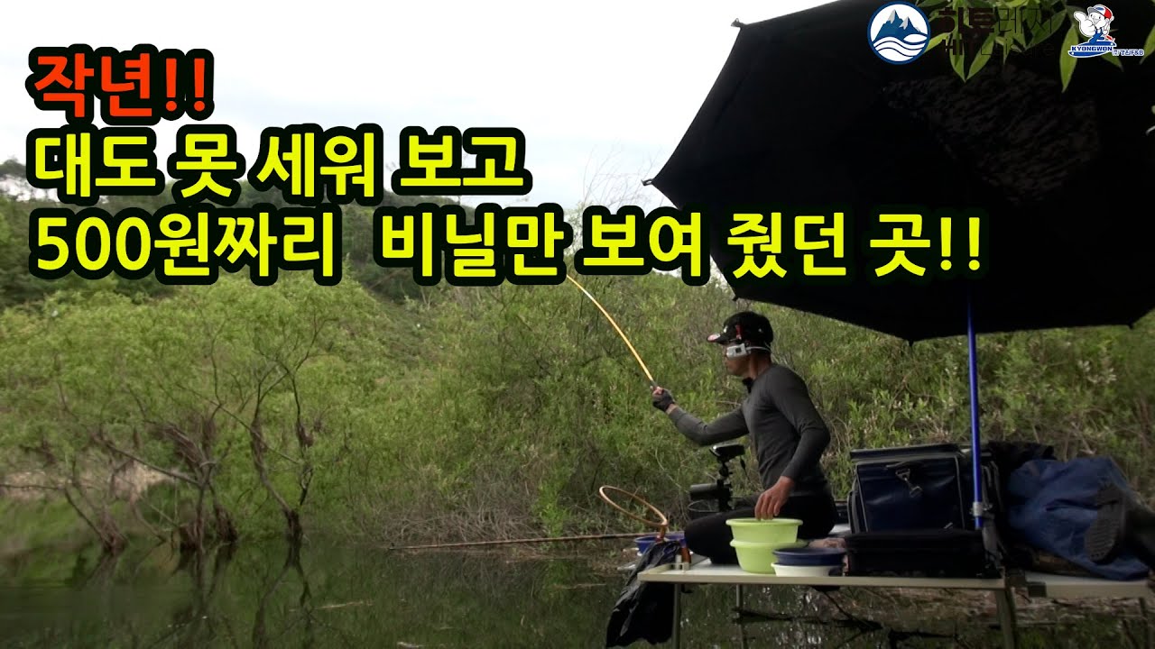 작년 생각나서 다시 와봤다!