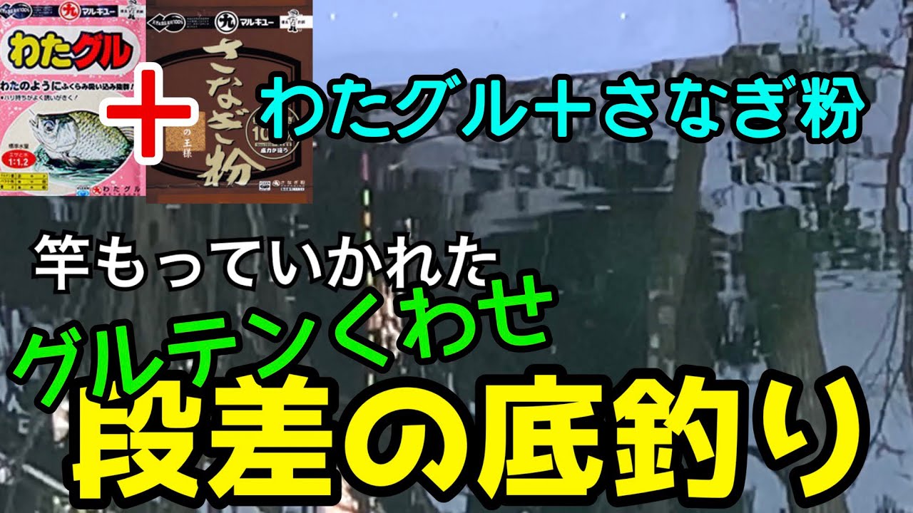 【釣り】グルテンをクワセにして段差の底に挑戦【へらぶな釣り】
