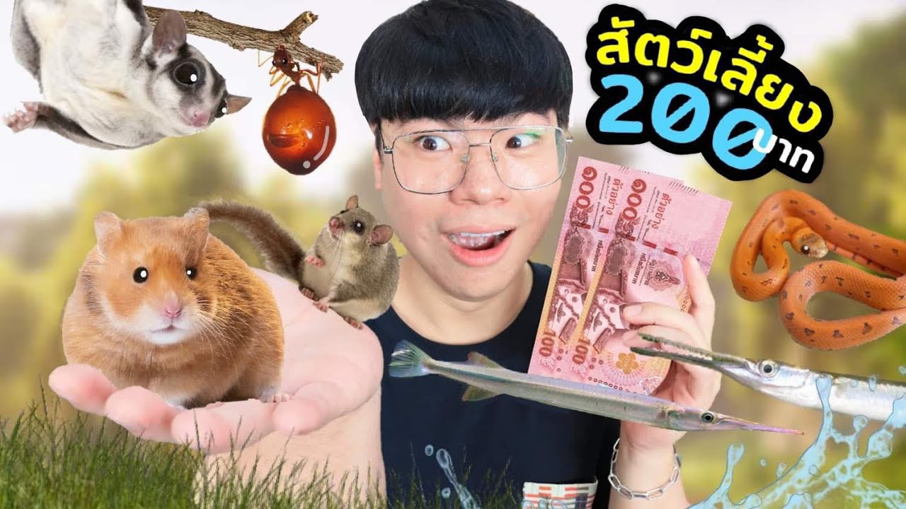 200 บาท หาซื้อสัตว์เลี้ยงได้มั๊ย!!? ตลาดสัตว์เลี้ยงจตุจักร