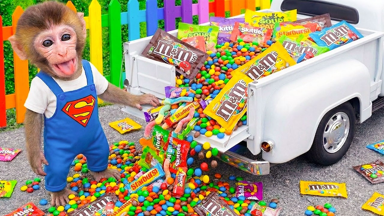 Monyet Mono Lucu Pergi ke Supermarket Beli Permen Pelangi dan Membuat Kolam Renang Warna-warni 🍭💖
