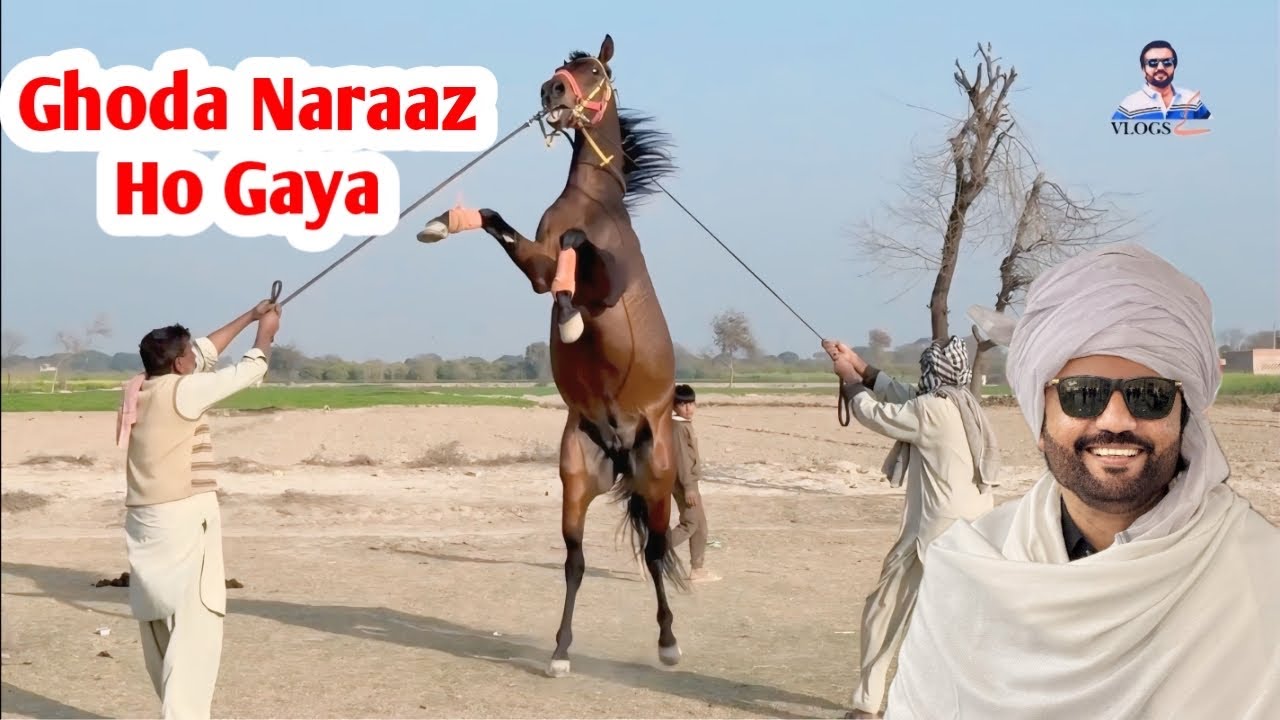 Ghora ghussa kar gaya