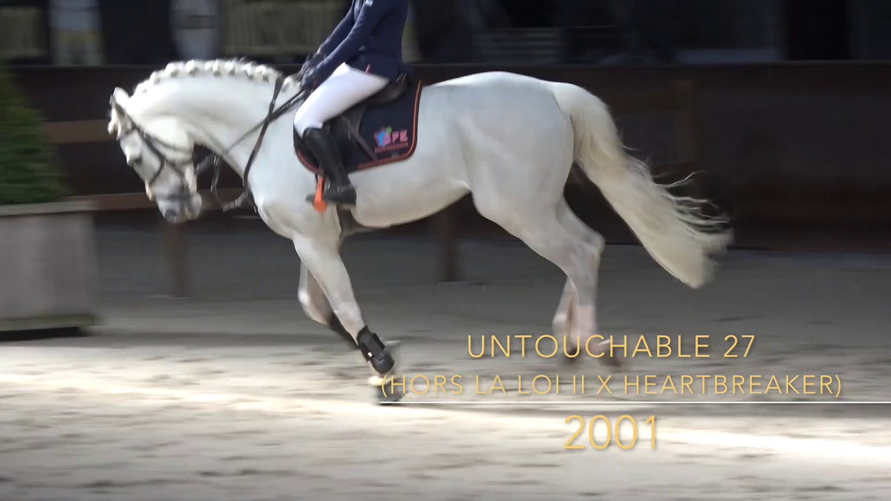 Untouchable 27 (Hors La Loi II  x Heartbreaker)