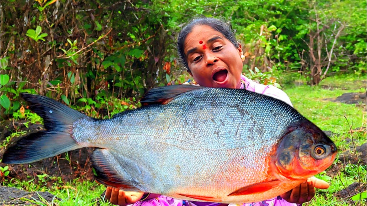 KING SIZE FISH RAVA FRY🐟 || red pomfret  fish rava fry in village || village style cooking