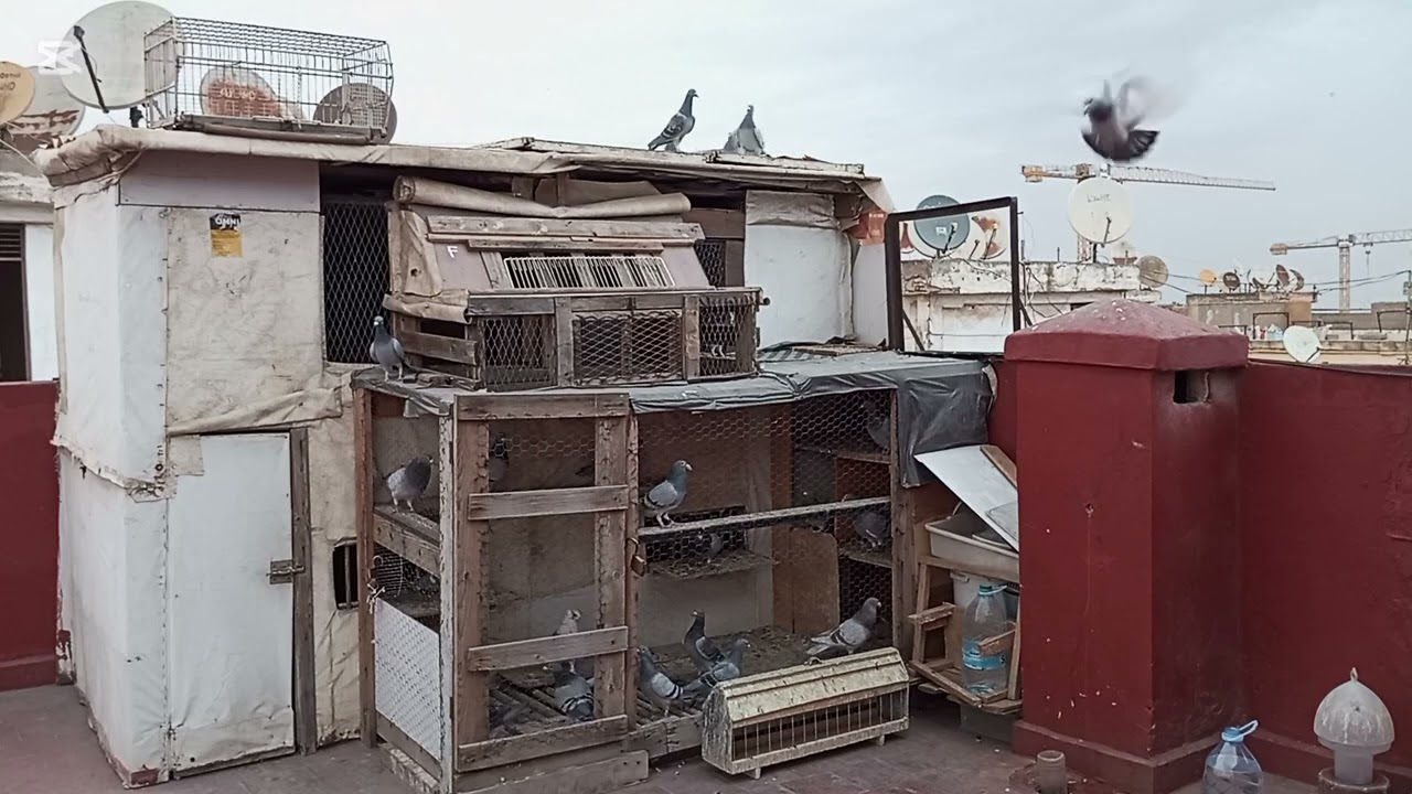 اول يوم في موسم 2025/1/5 بي التوفيق اي الجميع في التدريبة 🤲🤲🤲🕊️💯💯🇲🇦