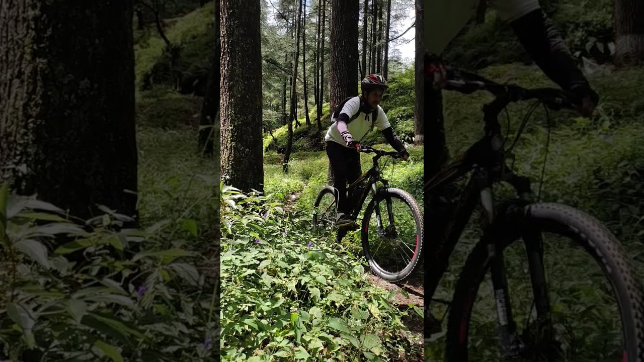 Mtb jungle ride #shots #viral #mtb #mtbride #offroad #jungleride #cycling #trandingshorts