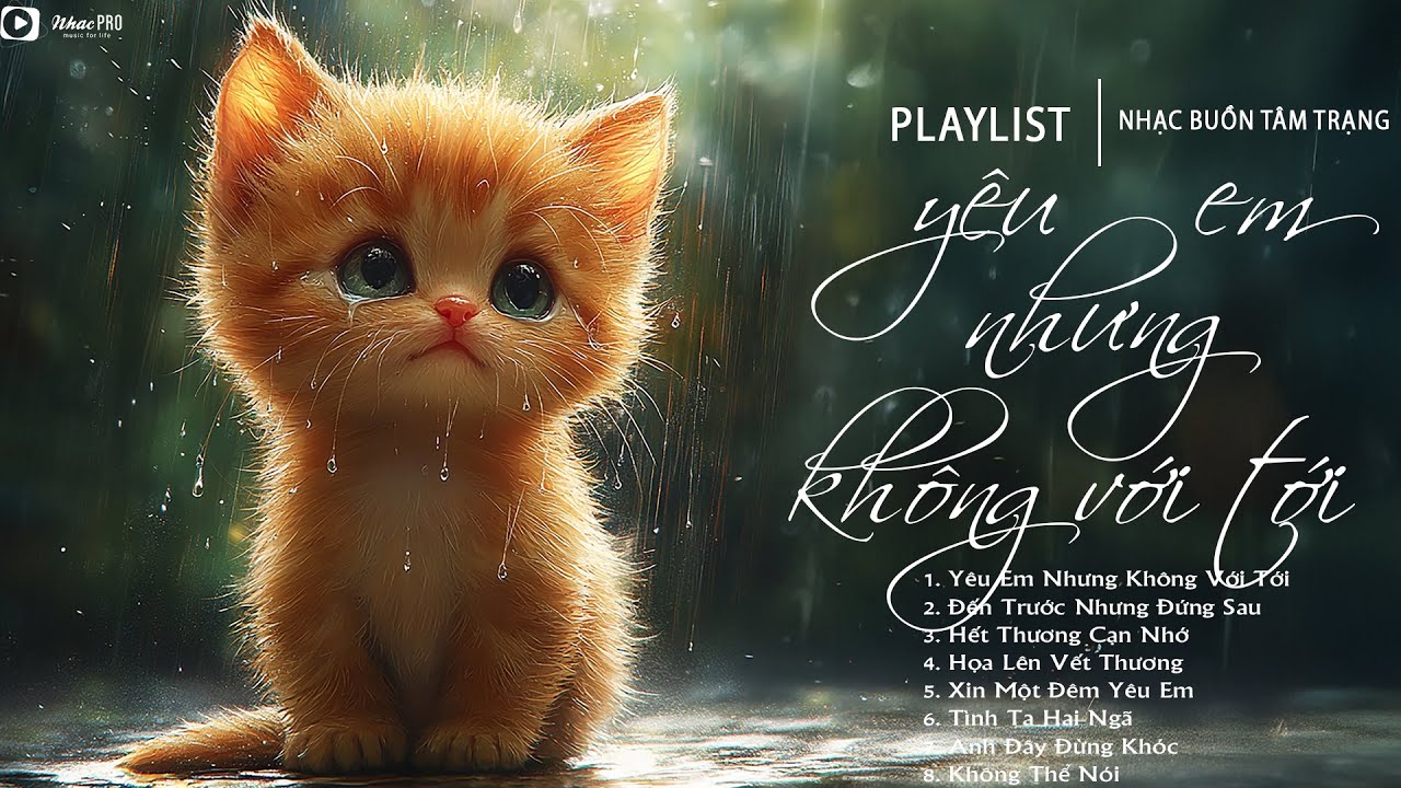 Yêu Em Nhưng Không Với Tới - Nhạc Trẻ Ballad Việt Hay Nhất 2025 | Liên Khúc Nhạc Việt Hot Nhất T2