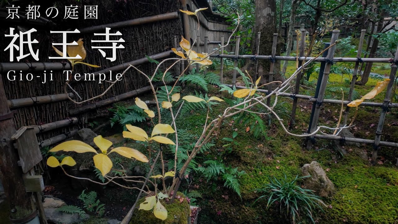 【京都の庭園】祇王寺 ｜  gio-ji Temple【Kyoto Japanese Garden】