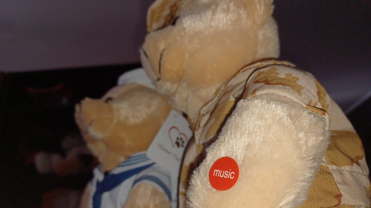 Humor Ted 